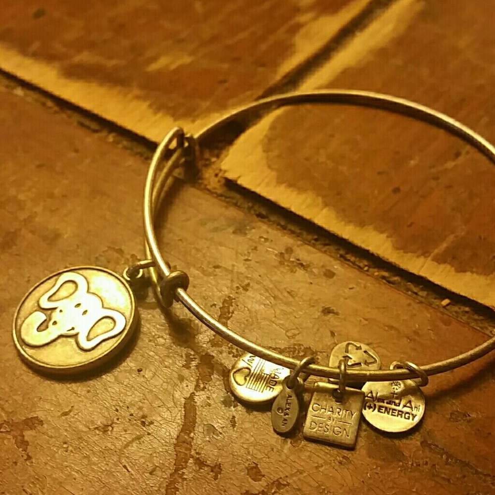 Alex and Ani energy bracelet